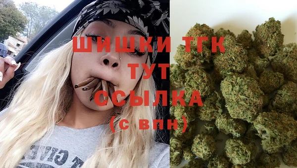 дурь Медвежьегорск