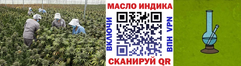 Купить закладки  Калуга  ТГК концентрат 